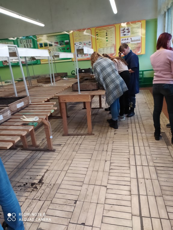 IMG_20200125_105036 (Copy)