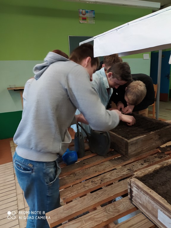 IMG_20200125_105043 (Copy)