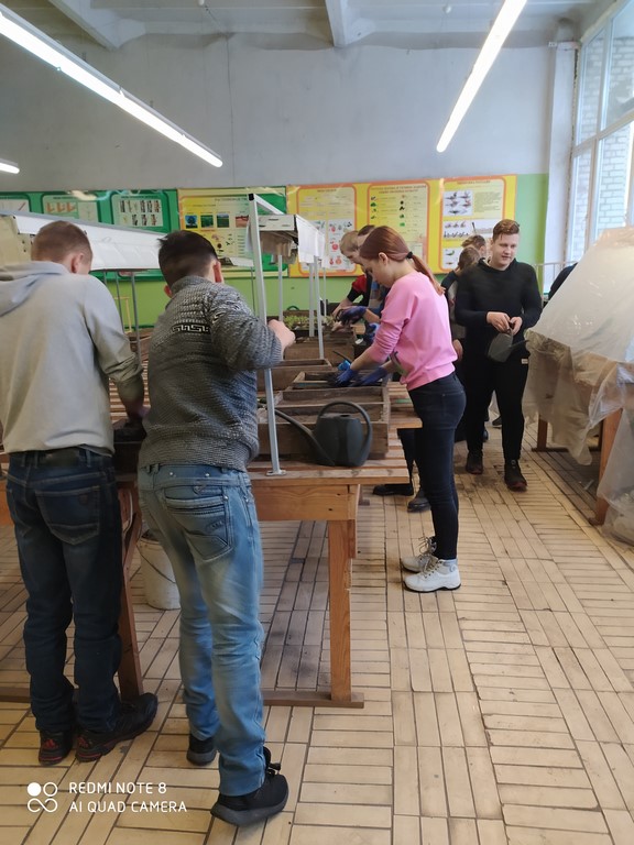 IMG_20200201_101539 (Copy)