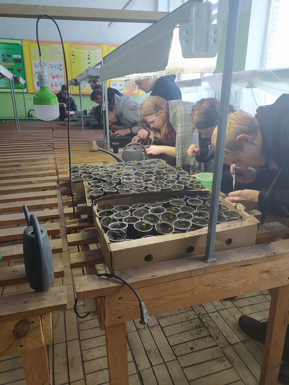 IMG_20210130_110817 (Copy)