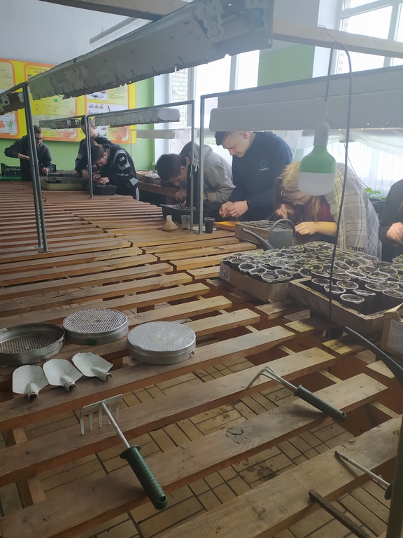 IMG_20210130_110823 (Copy)