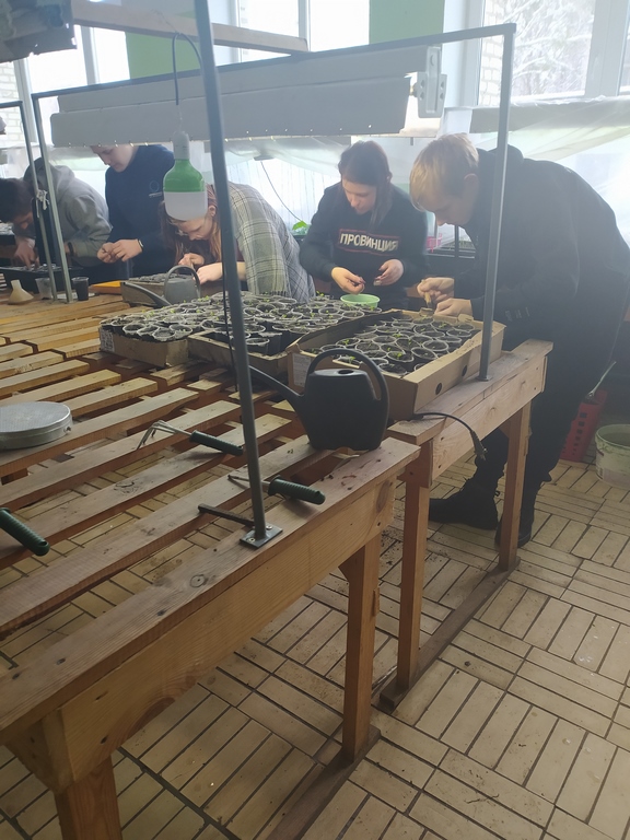 IMG_20210130_110827 (Copy)