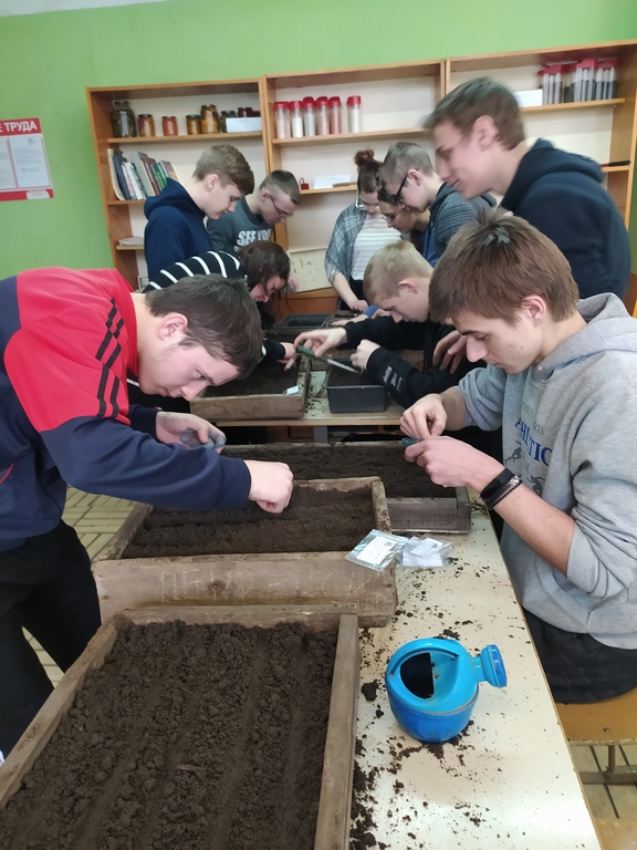 IMG_20210227_110538 (Copy)