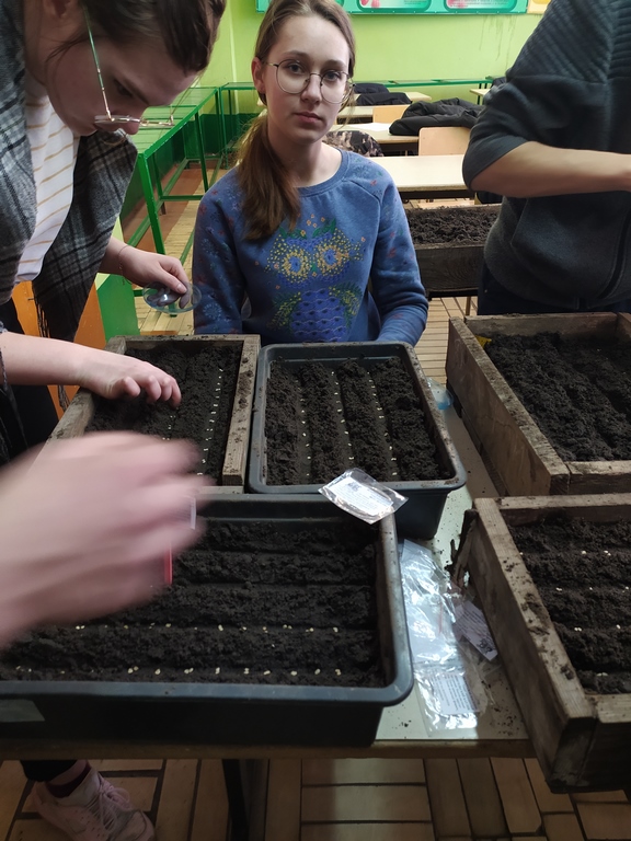 IMG_20210227_111209 (Copy)