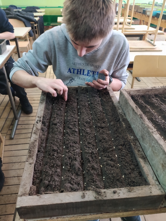 IMG_20210227_111222 (Copy)