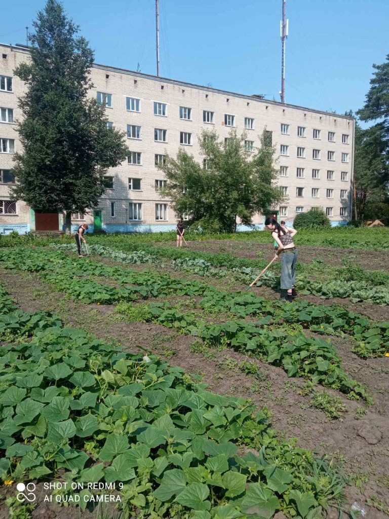 Вторичная занятость