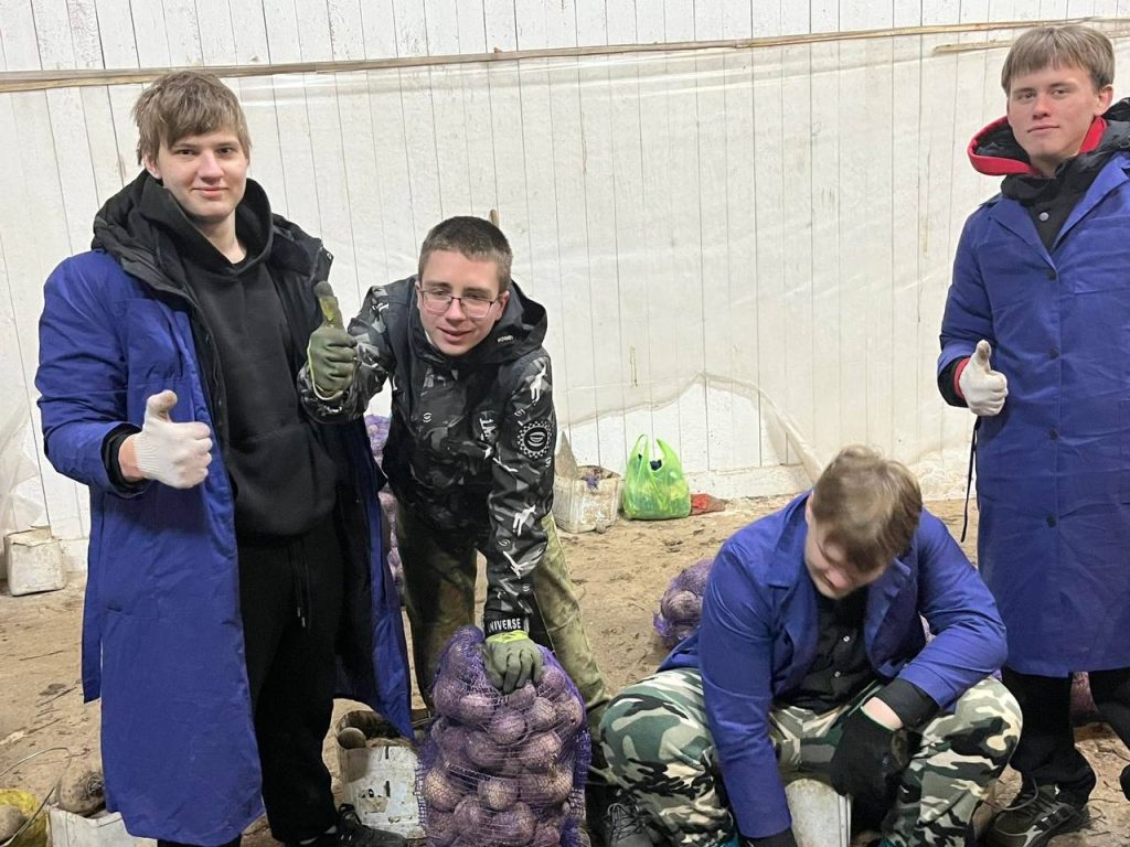 сельскохозяйственные работы в КСУП «Брилево»